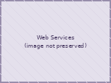 Web Design and internet services