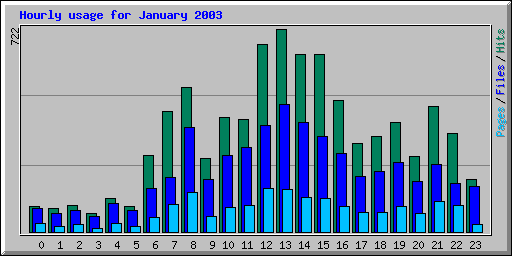 Hourly usage for January 2003